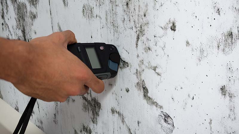 Moisture meter being used while performing home inspection services